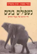 כשפילים בוכים
