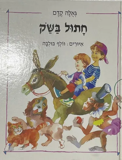חתול בשק