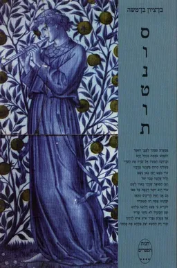 סונטות
