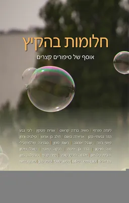 עטיפת הספר חלומות בהקיץ מאת מחברים שונים