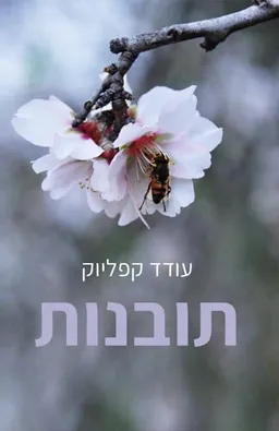 תובנות