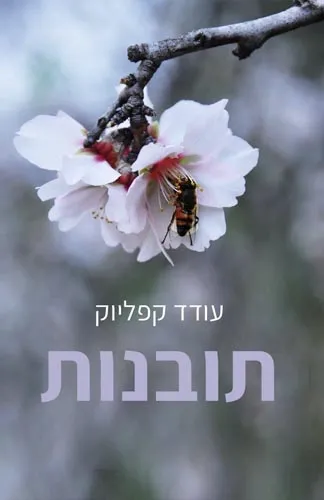 תובנות