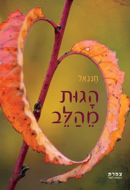 הגות מהלב