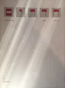 אביב 1981