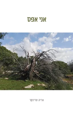 עטיפת הספר אני אפס מאת אריה טרינקר