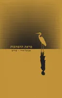 מראת ההפתעות