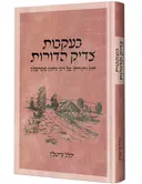 בעקבות צדיק הדורות