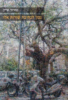 נכון לכתיבת שורות אלו : שירים