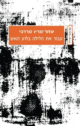 עטיפת הספר עבור את הלילה בלוע האש מאת שחר-מריו מרדכי