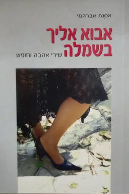 עטיפת הספר אבוא אליך בשמלה מאת אסנת אברהמי