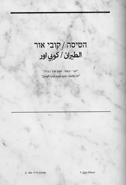 עטיפת הספר הטיסה מאת קובי אור