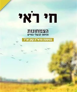 חי ראי (רואי)