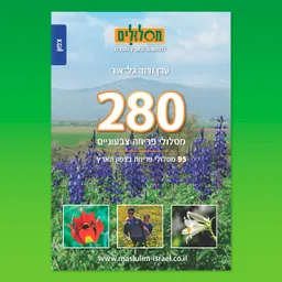 280 מסלולי פריחה צבעוניים | צפון - 95 מסלולי פריחה בצפון הארץ
