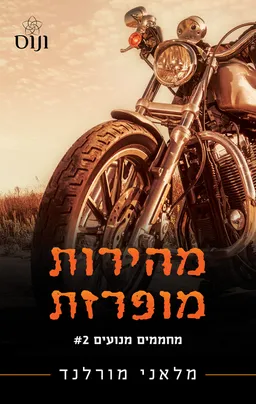 מהירות מופרזת