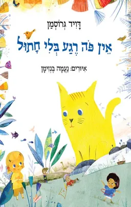 עטיפת הספר אין פה רגע בלי חתול מאת דויד גרוסמן