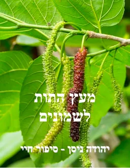 מעץ התות לשמונים