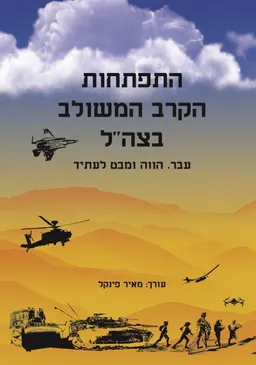 התפתחות הקרב המשולב בצה"ל