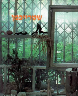 שטרייכמן / מוזיאון ישראל 1987