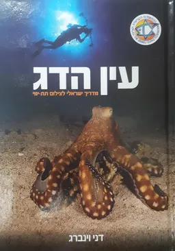 עין הדג