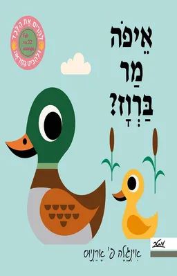 איפה מר ברווז