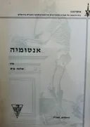 אנטומיה