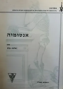אנטומיה