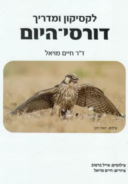 דורסי היום / לקסיקון ומדריך