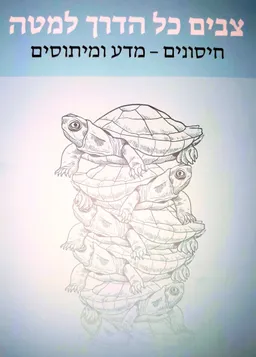 עטיפת הספר צבים כל הדרך למטה מאת 