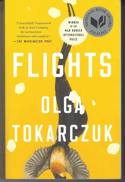 Flights