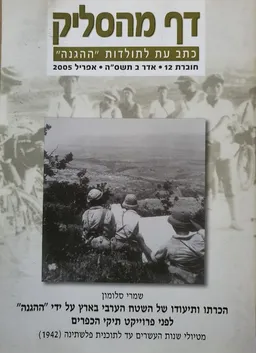 עטיפת הספר דף מהסליק - תיקי הכפרים מאת שמרי סלומון