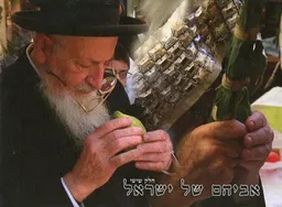 אביהם של ישראל 6