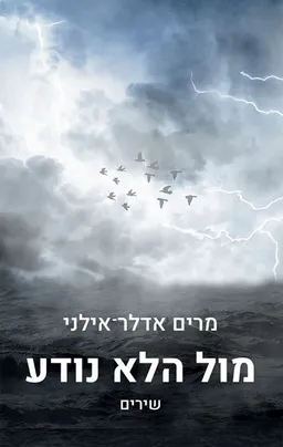 עטיפת הספר מול הלא נודע מאת מרים אדלר אילוני