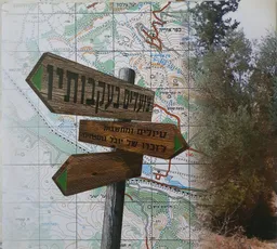 עטיפת הספר צועדים בעקבותיו : טיולים ומחשבות לזכרו של יובל גוטפרוינד  מאת משה גלעד