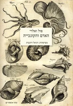 האדם והקונכייה