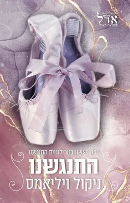 עטיפת הספר התנגשנו מאת ניקול ויליאמס