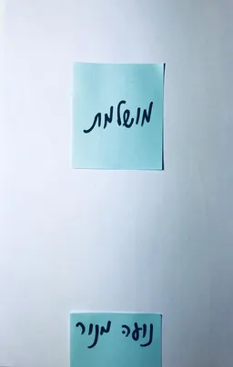 עטיפת הספר מושלמת מאת נועה מנור