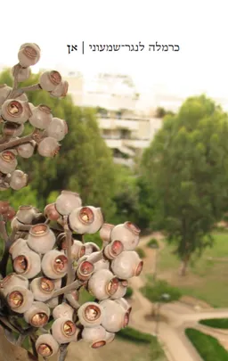 עטיפת הספר אן מאת כרמלה לנגר שמעוני