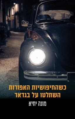 כשהחיפושיות האפורות השתלטו על בגדאד