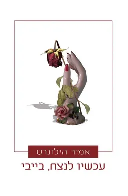 עטיפת הספר עכשיו לנצח, בייבי מאת אמיר הילזנרט