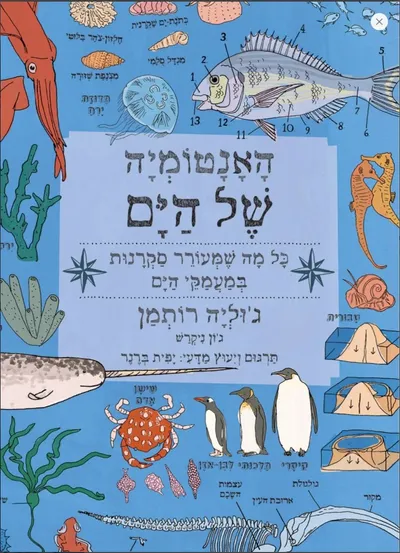 האנטומיה של הים : כל מה שמעורר סקרנות במעמקי הים