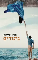ניגודים