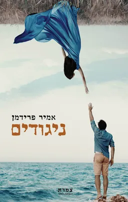 ניגודים