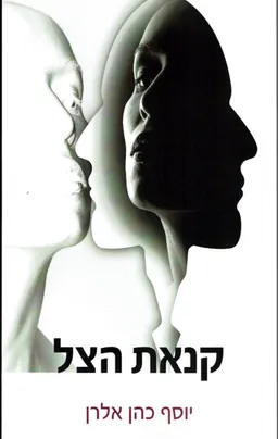 עטיפת הספר קנאת הצל מאת יוסף כהן אלרן