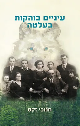 עיניים בוהקות בעלטה