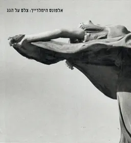 צלם על הגג - קטלוג תערוכה