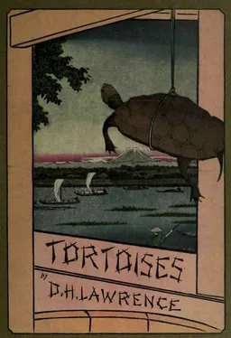 עטיפת הספר Tortoises מאת D.H. Lawrence