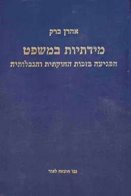 עטיפת מידתיות במשפט 