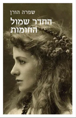 עטיפת הספר החדר שמול החומות מאת שפרה הורן