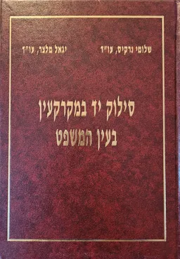 סילוק יד במקרקעין בעין המשפט