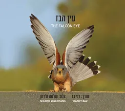 עין הבז - אלבום צילומים